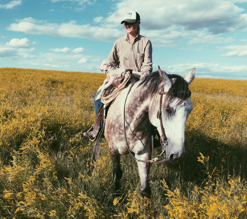 Why I don’t go fishing : an extended&nbsp;metaphor