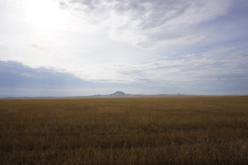 How I got my&nbsp;name