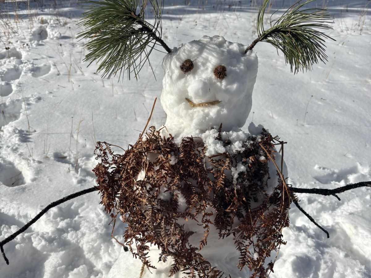 In remembrance of my Christmas&nbsp;tree