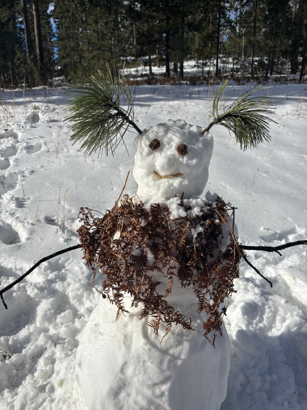 In remembrance of my Christmas tree